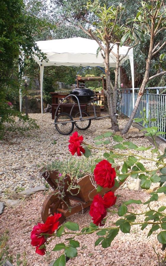 La Paloma Casa Vacanze Lucinasco 外观 照片
